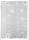 Dewsbury Chronicle and West Riding Advertiser Saturday 23 October 1880 Page 5