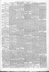 Dewsbury Chronicle and West Riding Advertiser Saturday 01 January 1881 Page 7