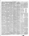 Dewsbury Chronicle and West Riding Advertiser Saturday 19 January 1889 Page 3
