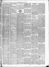 Dewsbury Chronicle and West Riding Advertiser Saturday 20 April 1889 Page 7