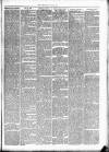Dewsbury Chronicle and West Riding Advertiser Saturday 22 June 1889 Page 7