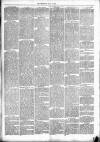 Dewsbury Chronicle and West Riding Advertiser Saturday 20 July 1889 Page 3