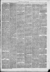 Dewsbury Chronicle and West Riding Advertiser Saturday 10 August 1889 Page 3