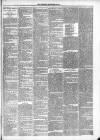 Dewsbury Chronicle and West Riding Advertiser Saturday 28 September 1889 Page 7