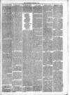 Dewsbury Chronicle and West Riding Advertiser Saturday 21 December 1889 Page 7