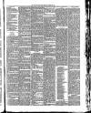 Teignmouth Post and Gazette Friday 03 August 1888 Page 7