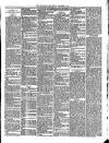 Teignmouth Post and Gazette Friday 07 December 1888 Page 3