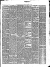 Teignmouth Post and Gazette Friday 21 December 1888 Page 3