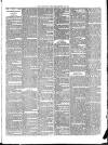 Teignmouth Post and Gazette Friday 29 March 1889 Page 3