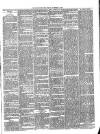 Teignmouth Post and Gazette Friday 01 November 1889 Page 3