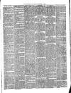 Teignmouth Post and Gazette Friday 15 November 1889 Page 3