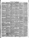 Teignmouth Post and Gazette Friday 19 October 1894 Page 3