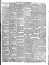 Teignmouth Post and Gazette Friday 16 November 1894 Page 3