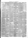 Teignmouth Post and Gazette Friday 30 November 1894 Page 7