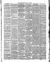 Teignmouth Post and Gazette Friday 27 April 1900 Page 3