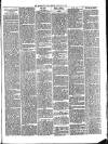 Teignmouth Post and Gazette Friday 01 February 1901 Page 7