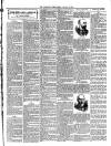 Teignmouth Post and Gazette Friday 04 January 1907 Page 3