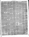 Kilmarnock Standard Saturday 20 April 1878 Page 3
