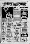 Kilmarnock Standard Friday 02 January 1987 Page 19