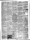 Herne Bay Press Saturday 09 March 1895 Page 3