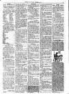 Herne Bay Press Saturday 30 November 1901 Page 3