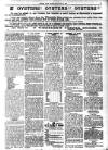 Herne Bay Press Saturday 10 January 1903 Page 5