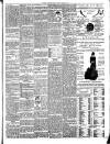 Gravesend & Northfleet Standard Saturday 24 December 1892 Page 7