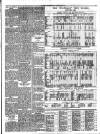 Gravesend & Northfleet Standard Saturday 14 January 1893 Page 3