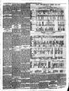 Gravesend & Northfleet Standard Saturday 18 March 1893 Page 3