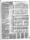 Gravesend & Northfleet Standard Saturday 12 August 1893 Page 3