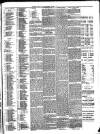 Gravesend & Northfleet Standard Saturday 29 December 1894 Page 3
