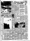 Lynn Advertiser Friday 11 January 1980 Page 13
