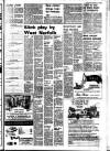 Lynn Advertiser Tuesday 03 February 1981 Page 29