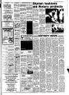 Lynn Advertiser Friday 10 April 1981 Page 33