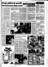 Lynn Advertiser Friday 27 January 1984 Page 13