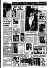 Lynn Advertiser Tuesday 04 February 1986 Page 13