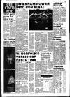 Lynn Advertiser Tuesday 05 January 1988 Page 29