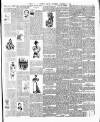 South Wales Weekly Argus and Monmouthshire Advertiser Saturday 06 October 1894 Page 3