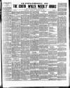 South Wales Weekly Argus and Monmouthshire Advertiser Saturday 13 October 1894 Page 9