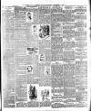 South Wales Weekly Argus and Monmouthshire Advertiser Saturday 01 December 1894 Page 3