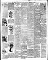 South Wales Weekly Argus and Monmouthshire Advertiser Saturday 22 December 1894 Page 11