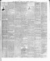 South Wales Weekly Argus and Monmouthshire Advertiser Saturday 21 December 1895 Page 11