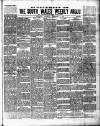 South Wales Weekly Argus and Monmouthshire Advertiser Saturday 08 February 1896 Page 9