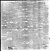 South Wales Weekly Argus and Monmouthshire Advertiser Saturday 12 February 1898 Page 5