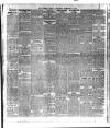 South Wales Weekly Argus and Monmouthshire Advertiser Saturday 05 February 1910 Page 10