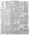 Belfast Weekly Telegraph Saturday 07 June 1873 Page 7