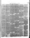 Belfast Weekly Telegraph Saturday 30 January 1875 Page 5