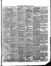 Belfast Weekly Telegraph Saturday 10 April 1875 Page 5