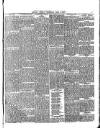 Belfast Weekly Telegraph Saturday 05 June 1875 Page 4