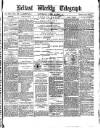 Belfast Weekly Telegraph Saturday 12 June 1875 Page 1
